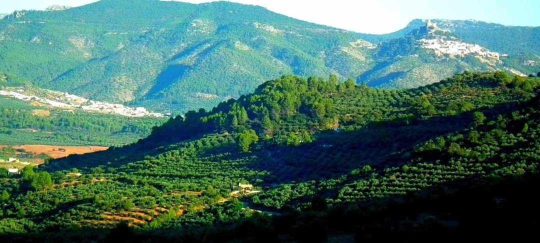 סגורה דה לה סיירה El Rincon De Mariela By Travel Home מראה חיצוני תמונה