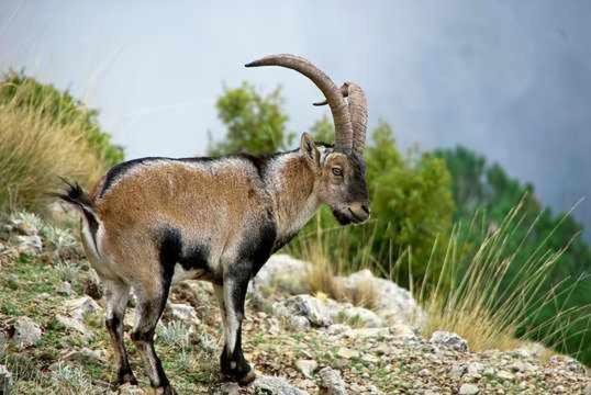 סגורה דה לה סיירה El Rincon De Mariela By Travel Home מראה חיצוני תמונה